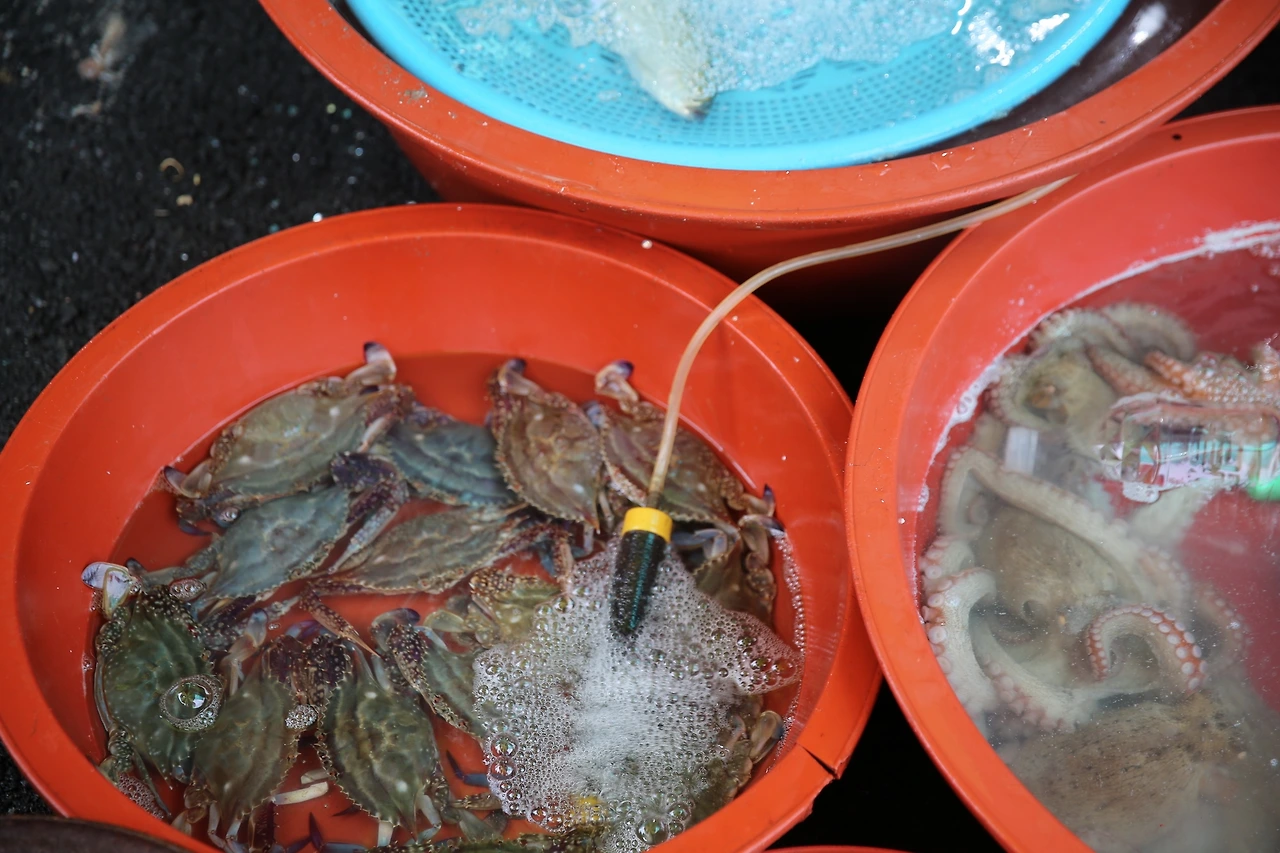 MG0A0437_новый размер.JPG