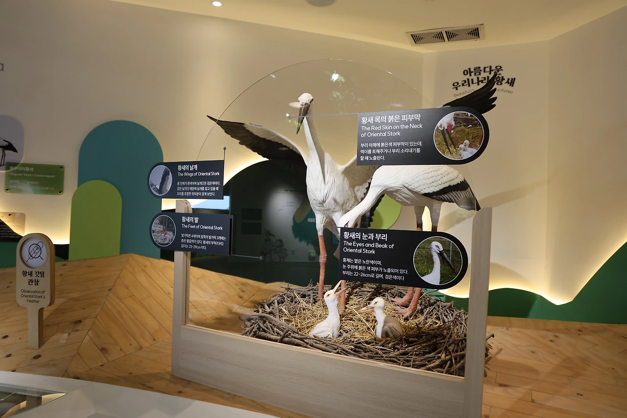 0R5A9701_новый размер.JPG