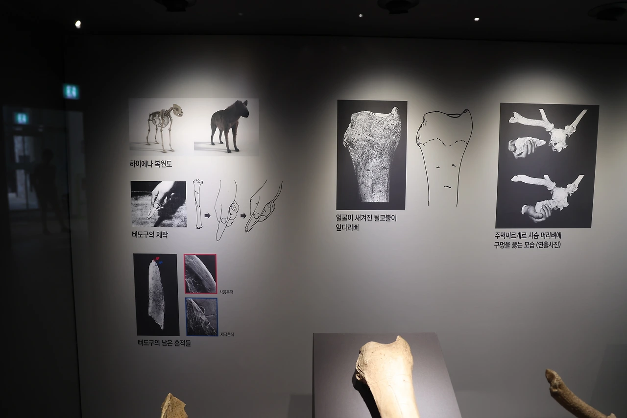 0R5A2821_новый размер.JPG