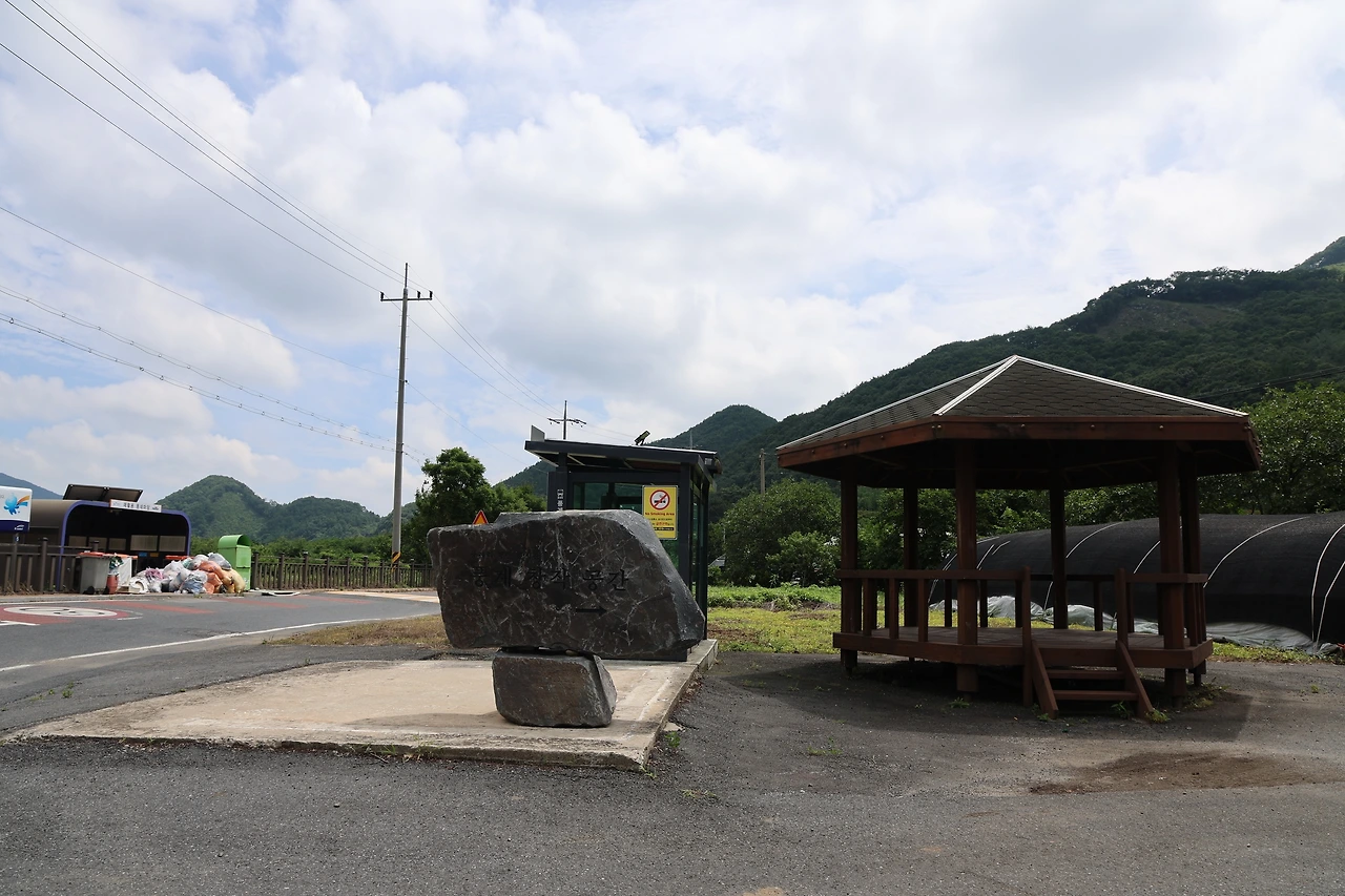 0R5A7723_новый размер.JPG