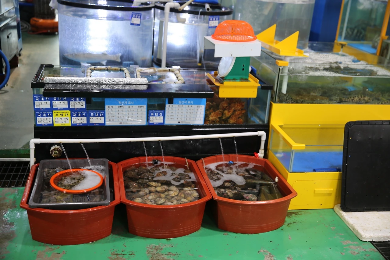 MG0A0707_новый размер.JPG