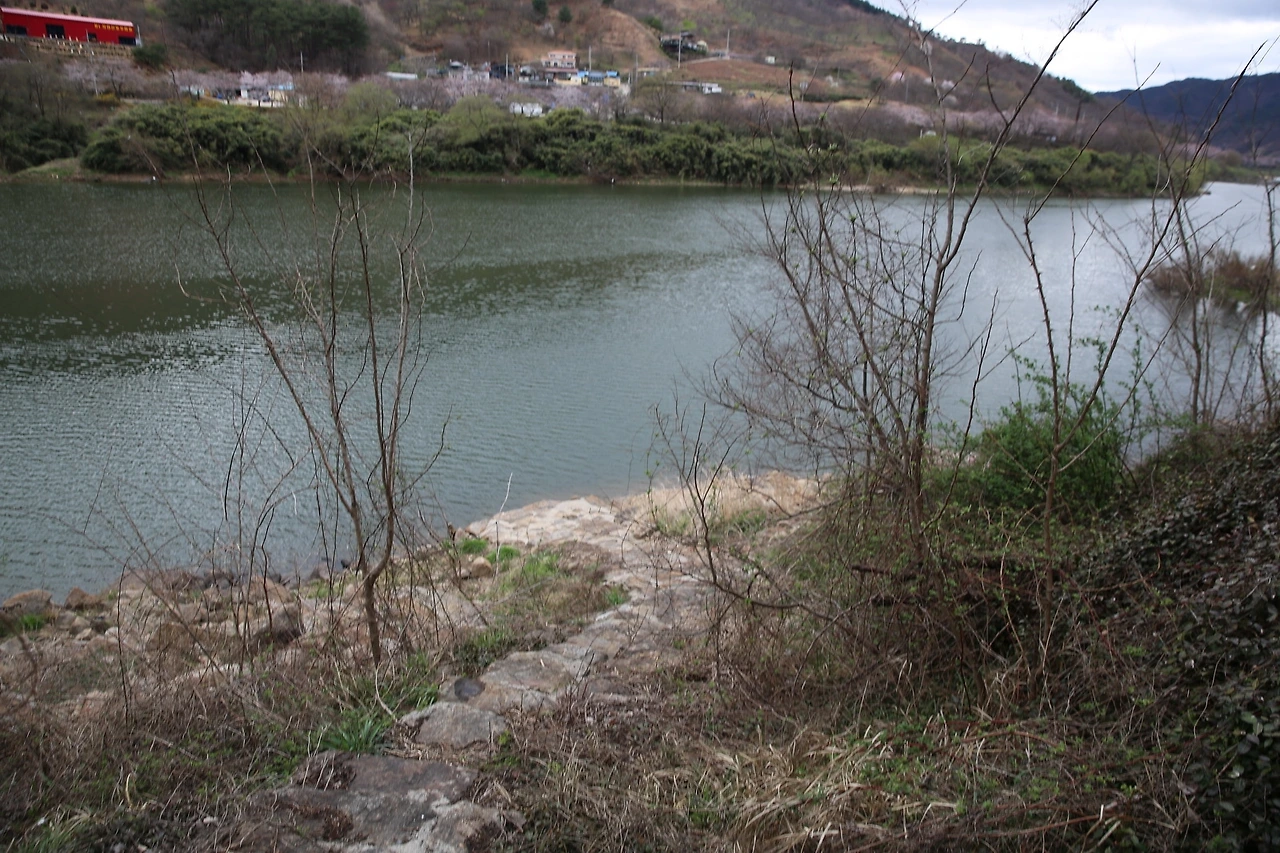 MG0A7264_новый размер.JPG