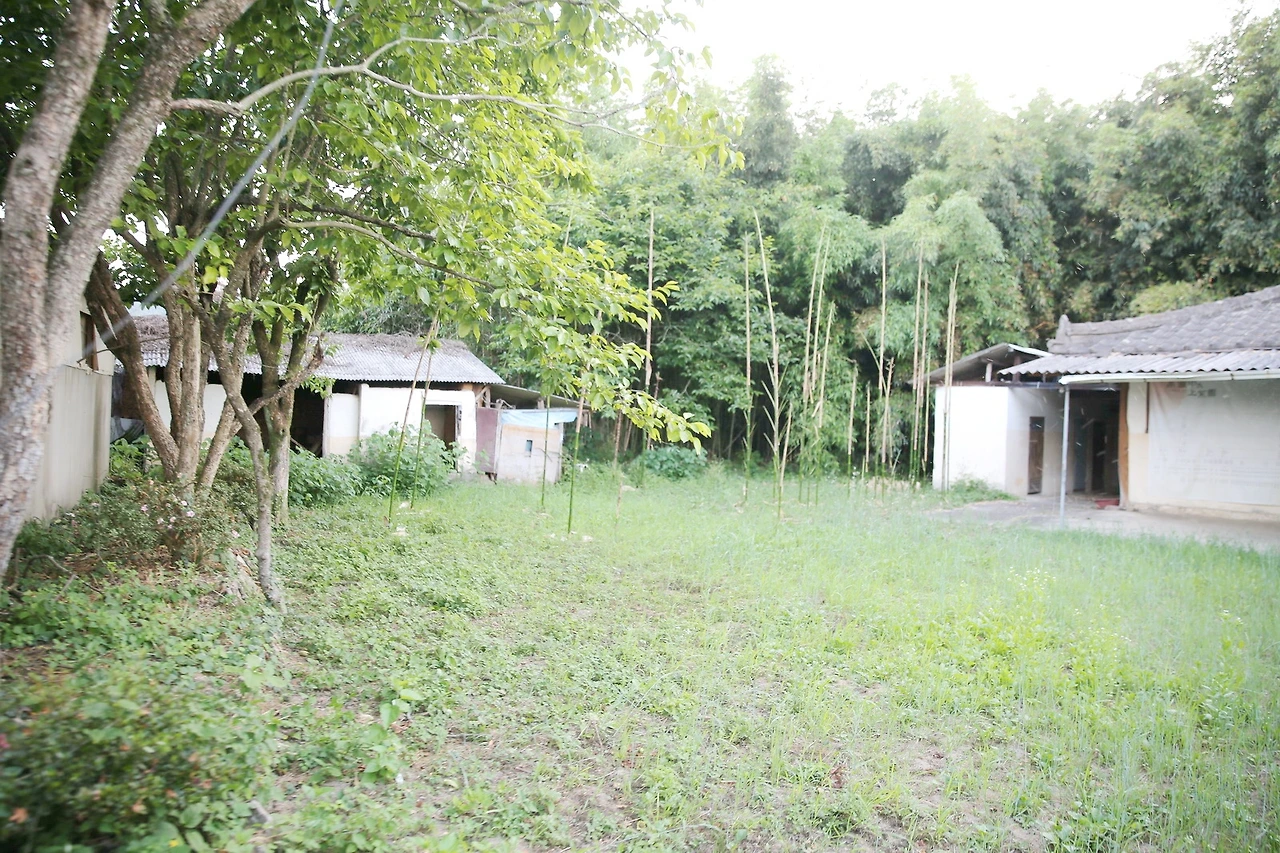 MG0A9194_новый размер_exposure.JPG