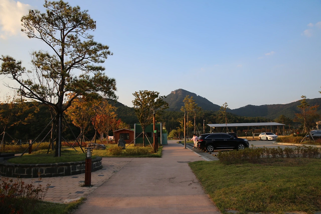 MG0A6608_новый размер.JPG