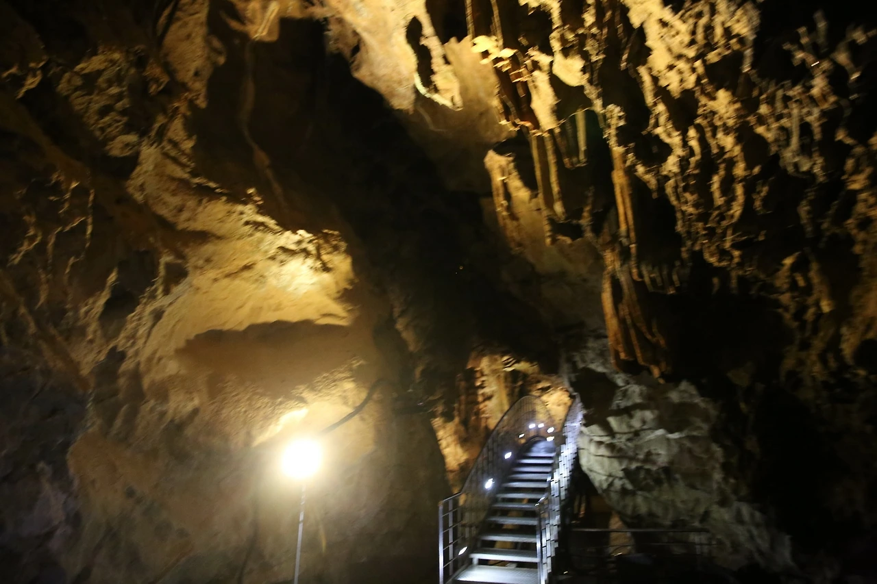 MG0A9740_новый размер.JPG