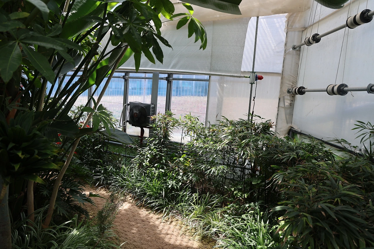 0R5A5884_новый размер.JPG