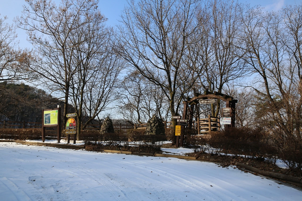 MG0A5582_новый размер.JPG