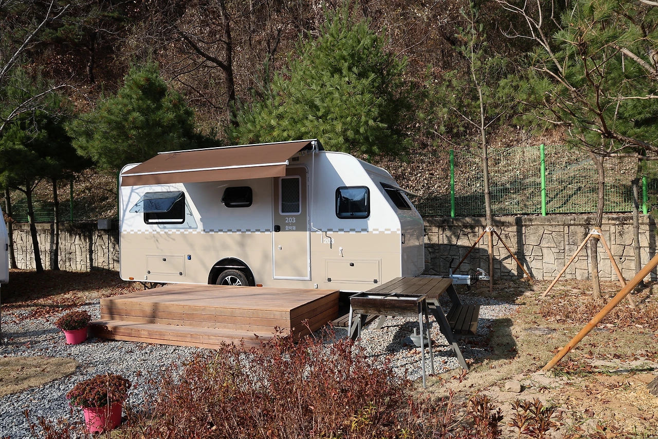 0R5A3489_новый размер.JPG