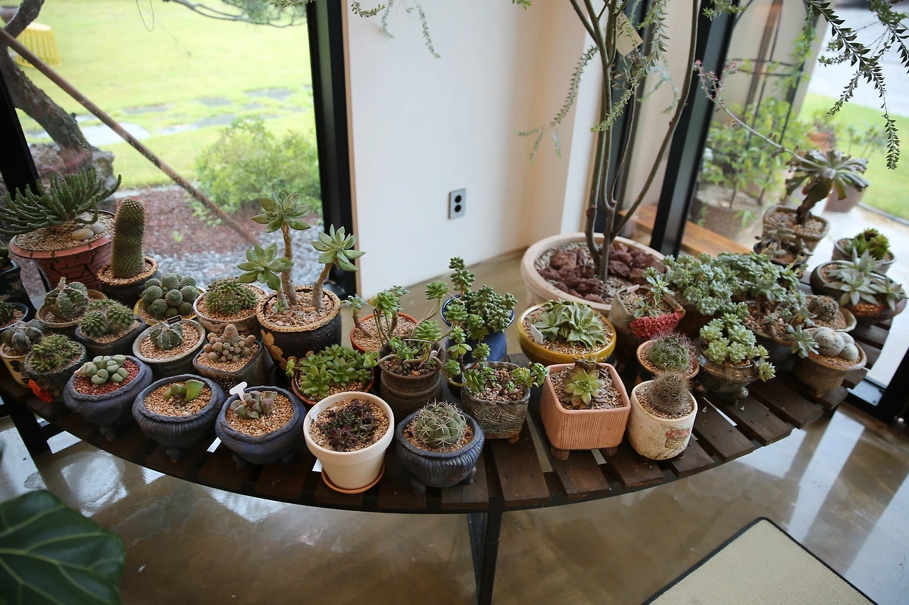 MG0A1801_новый размер.JPG