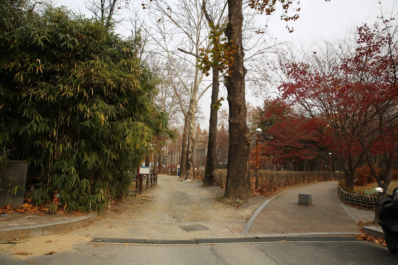 MG0A3611_новый размер.JPG