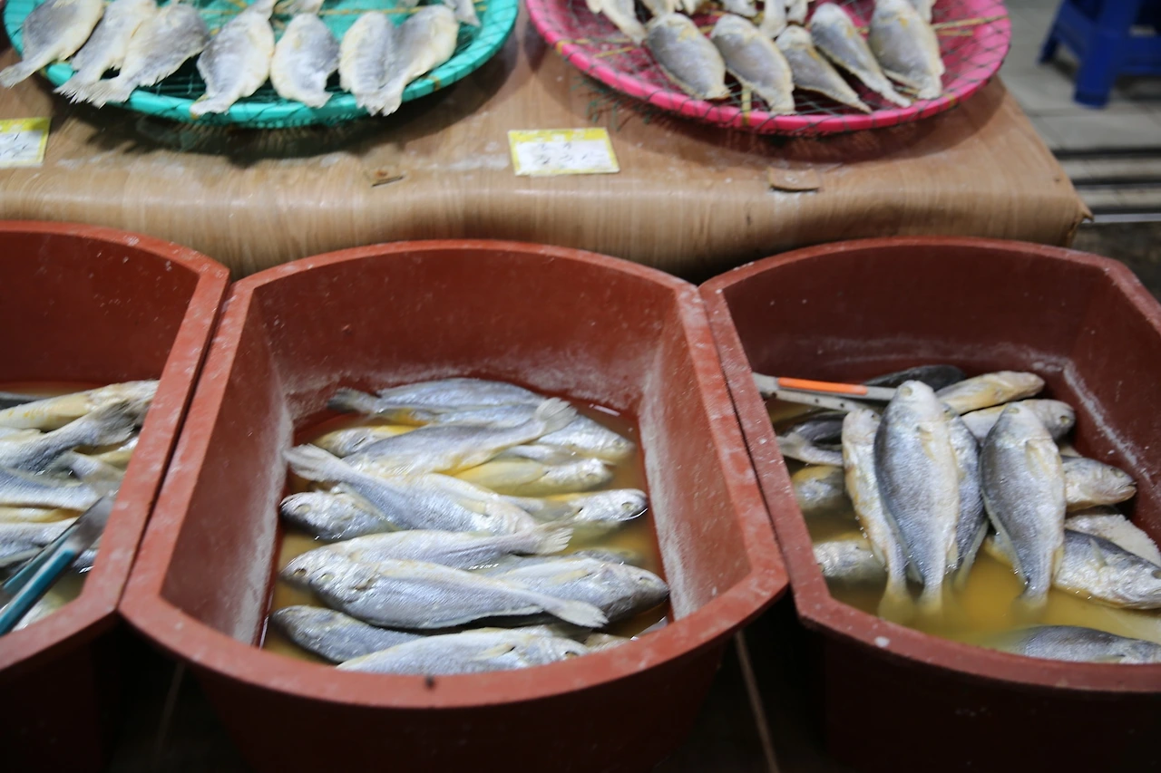 MG0A7778_новый размер.JPG