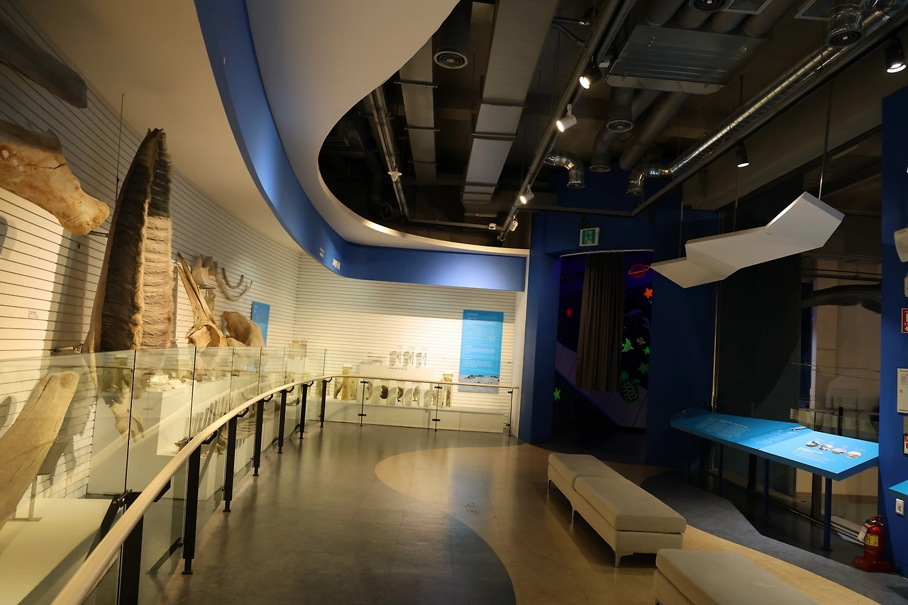 0R5A2253_новый размер.JPG