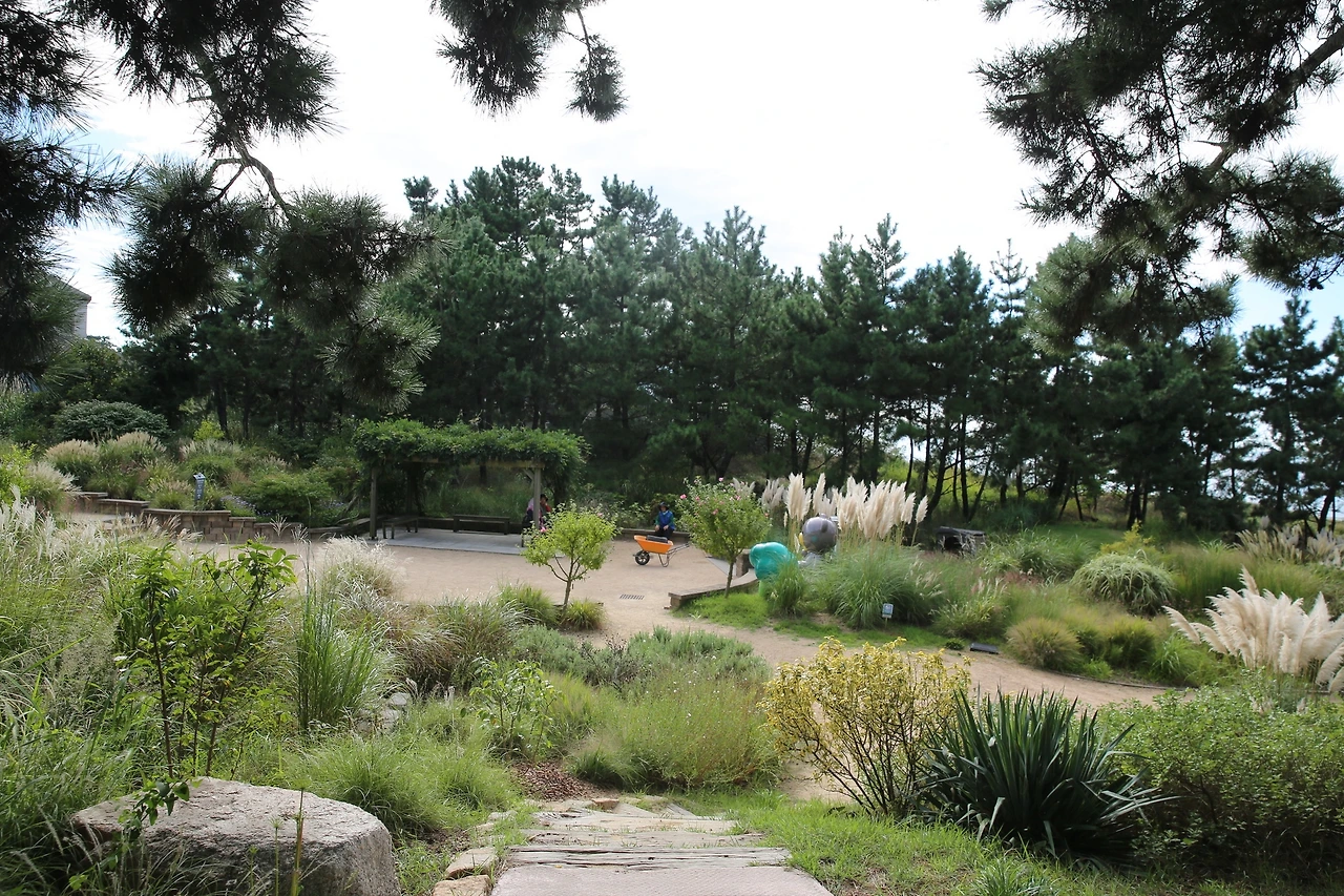 MG0A1369_новый размер.JPG