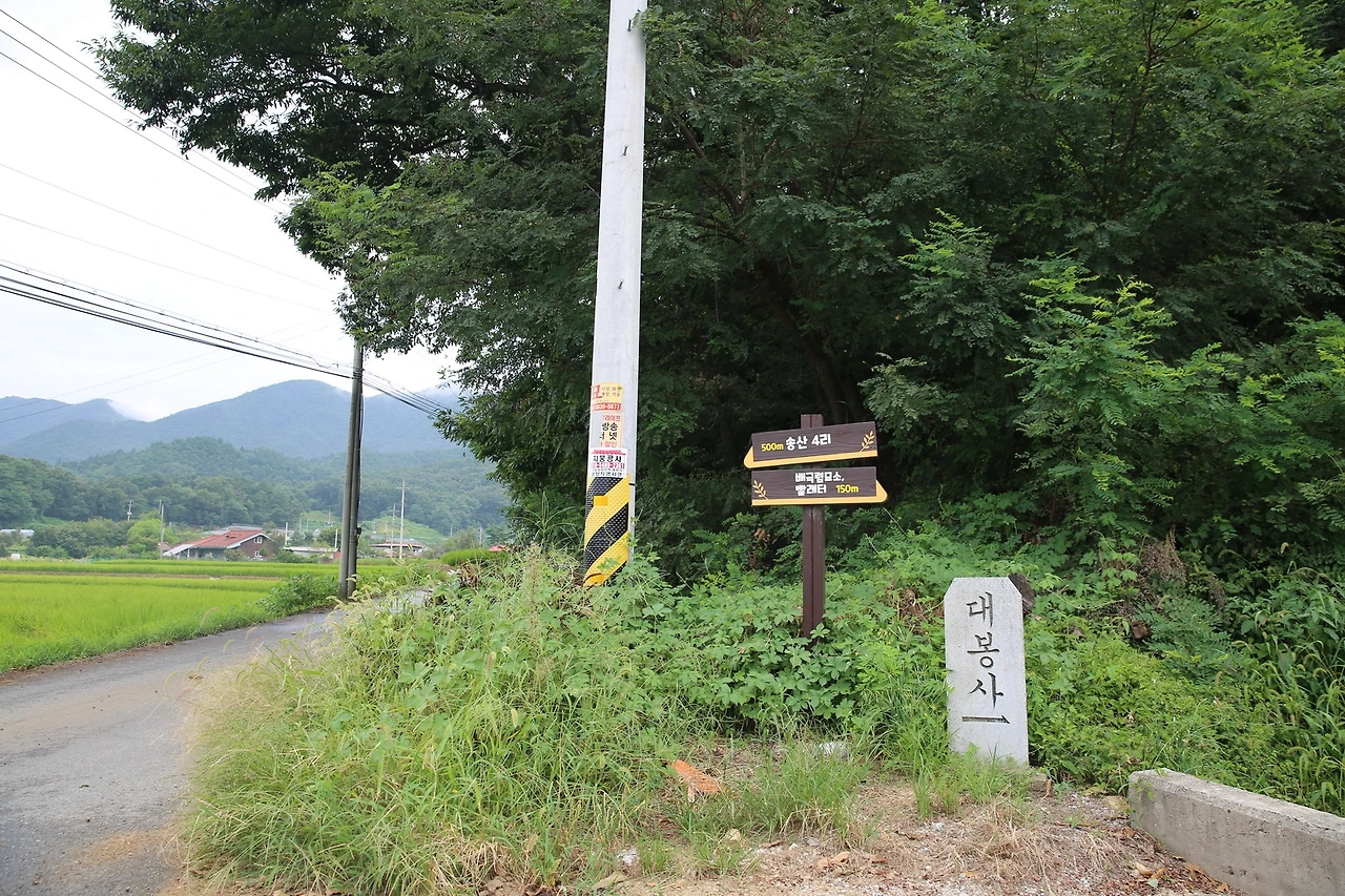 MG0A9642_новый размер.JPG