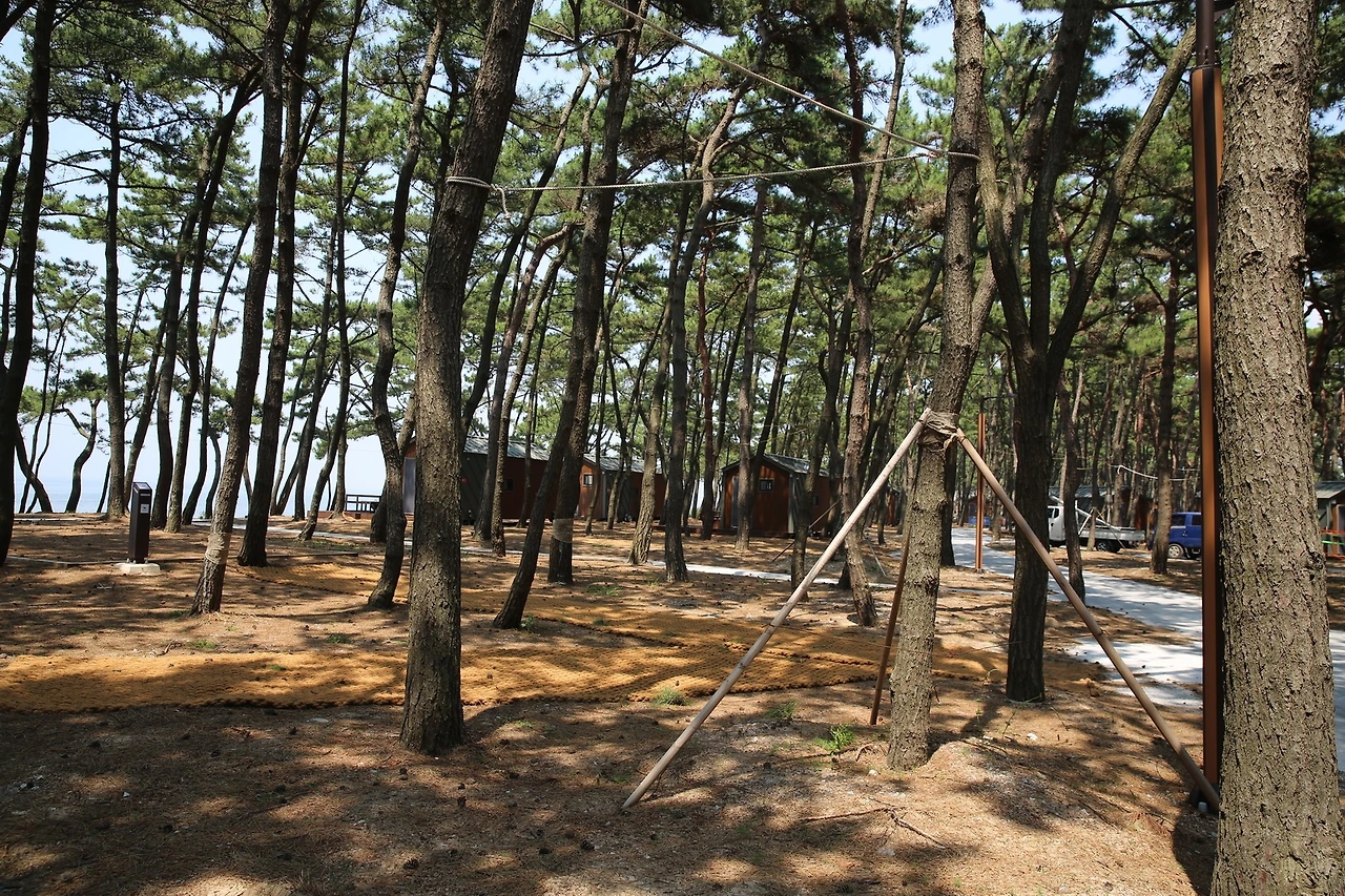 MG0A5729_новый размер.JPG