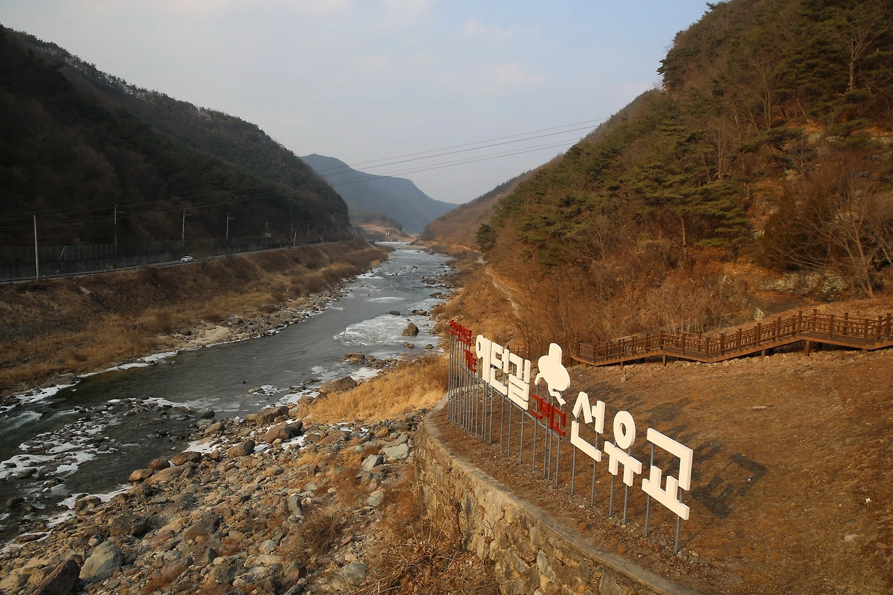 MG0A6448_новый размер.JPG