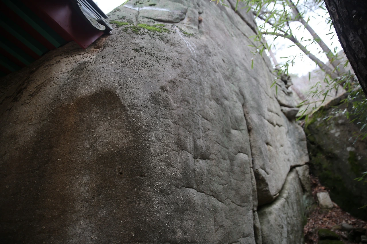 MG0A8481_новый размер.JPG