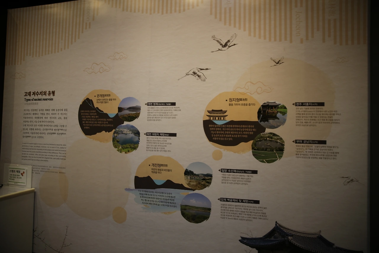 MG0A5061_новый размер.JPG