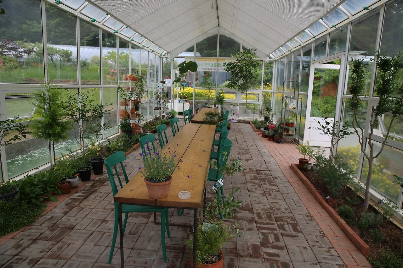 MG0A6953_новый размер.JPG