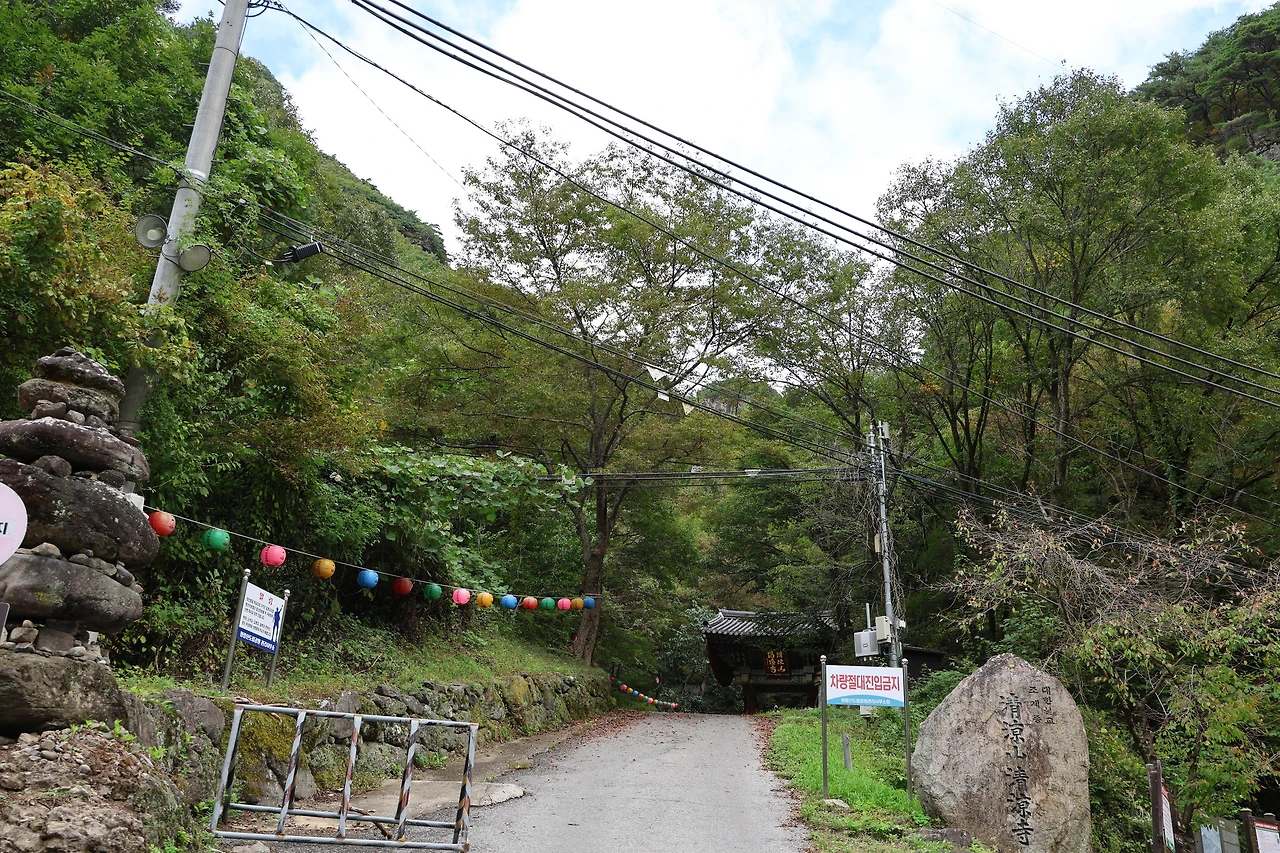 0R5A9790_новый размер.JPG