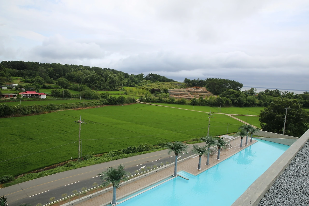 MG0A3631_новый размер.JPG