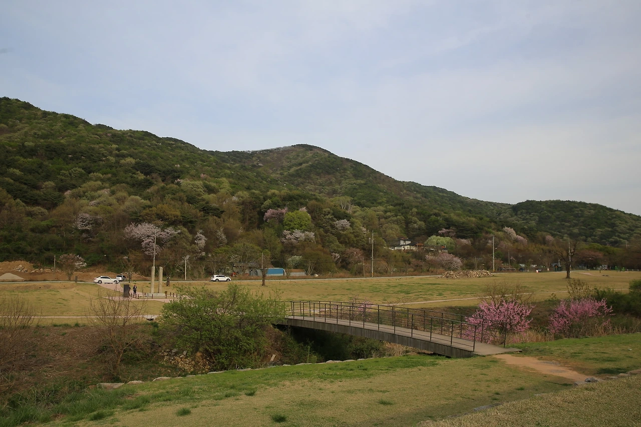 MG0A9490_новый размер.JPG