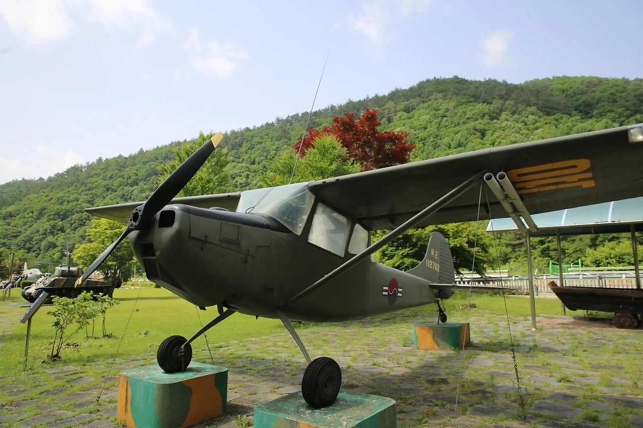 MG0A0746_новый размер.JPG