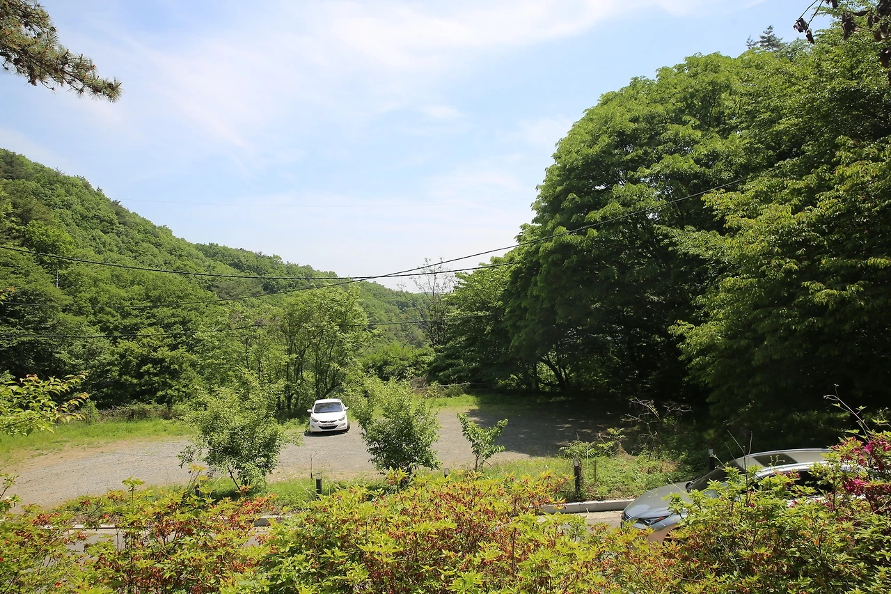 MG0A2562_новый размер.JPG