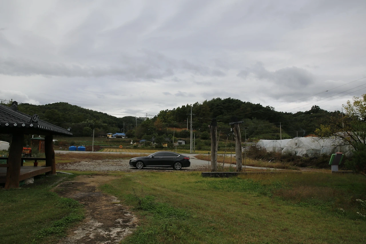 MG0A6395_новый размер.JPG