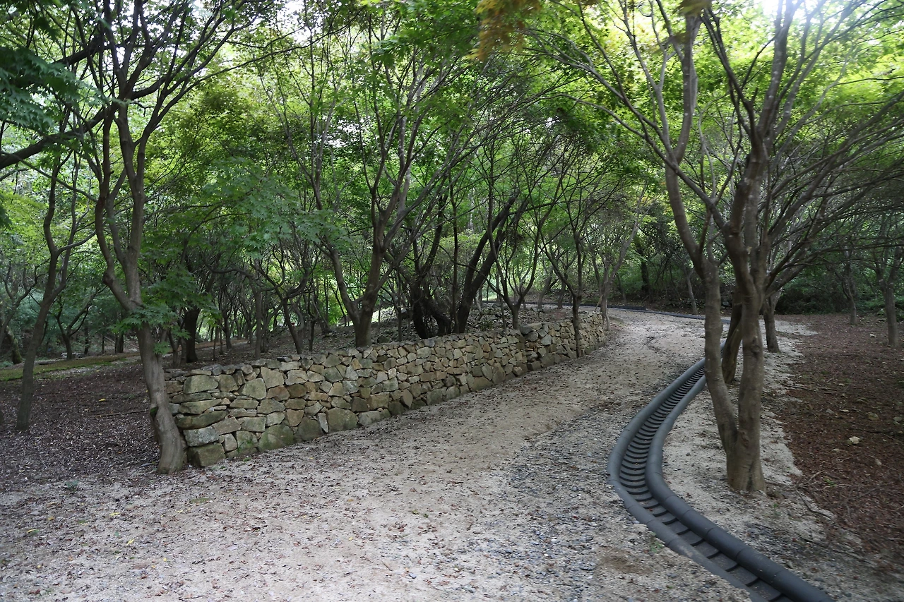 0R5A2833_новый размер.JPG