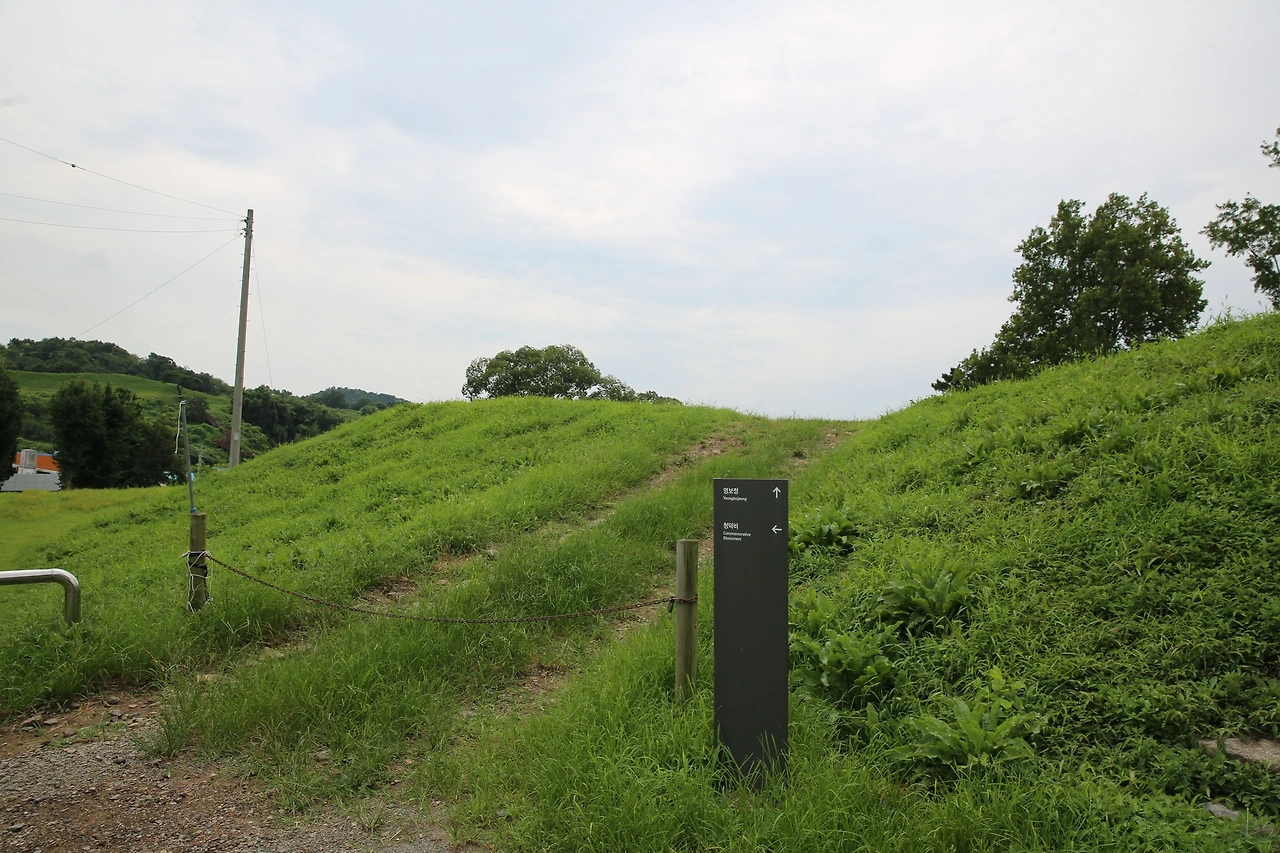 MG0A6070_новый размер.JPG