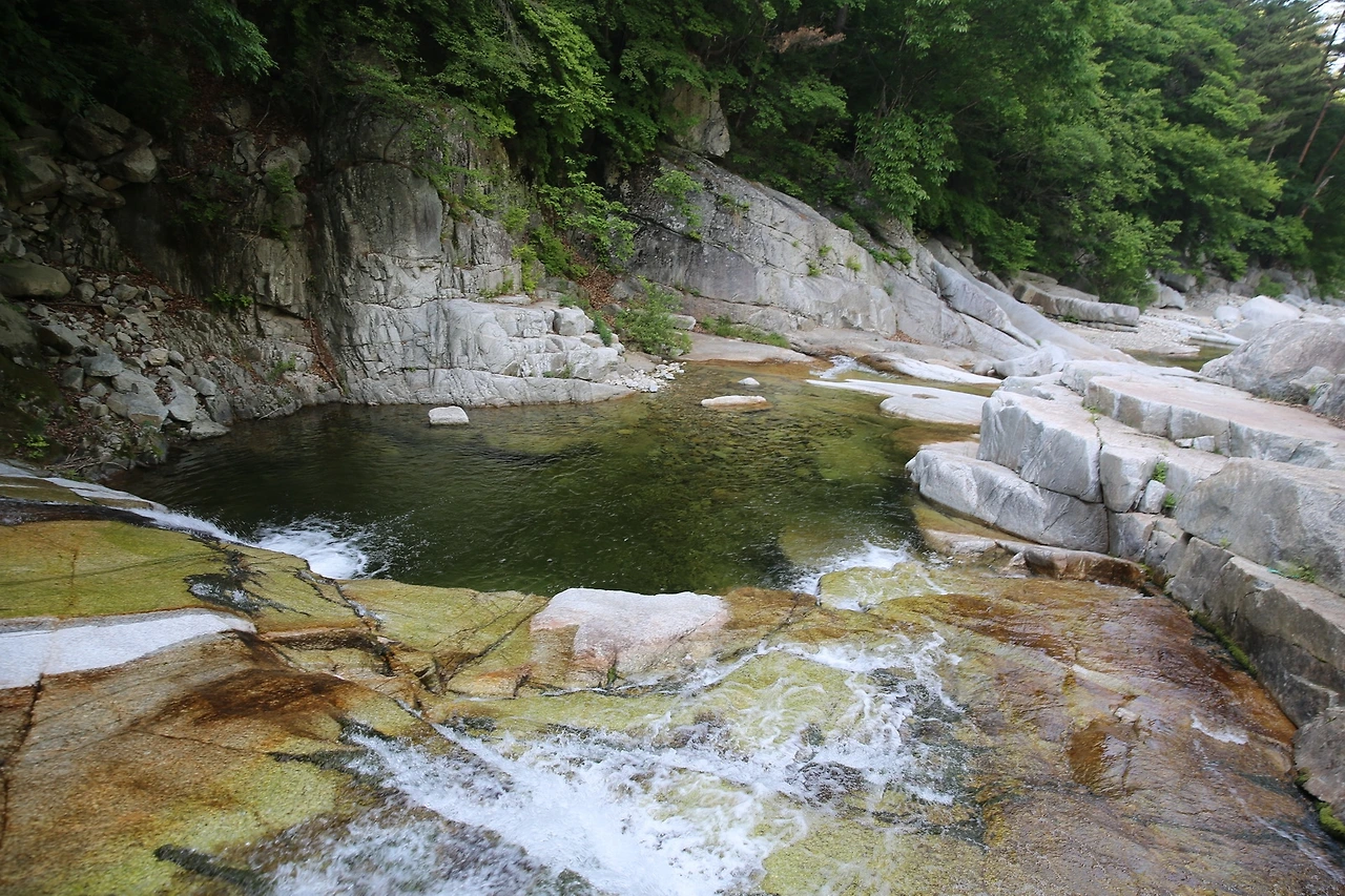 MG0A9476_новый размер.JPG