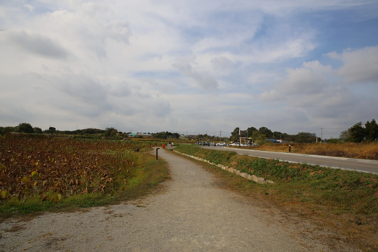 MG0A7355_новый размер.JPG