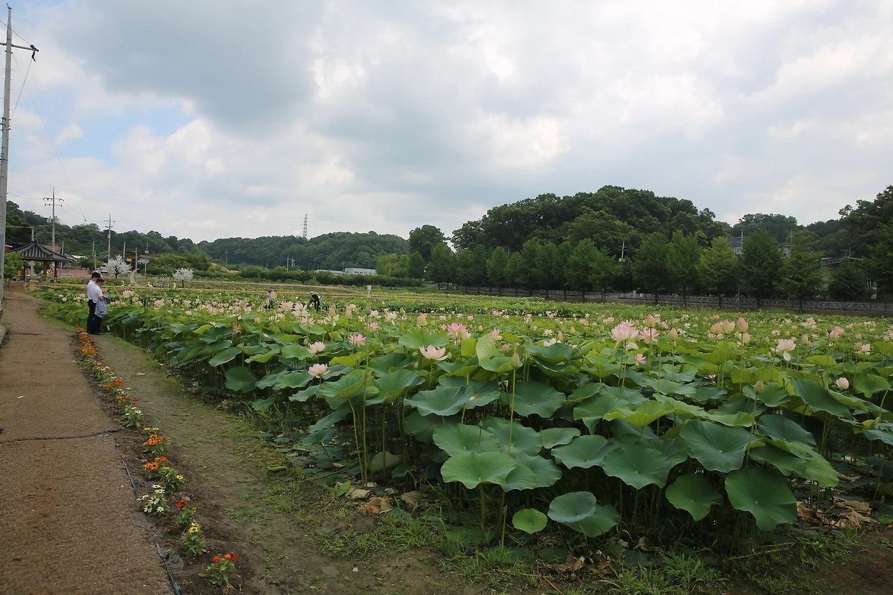 MG0A2712_новый размер.JPG