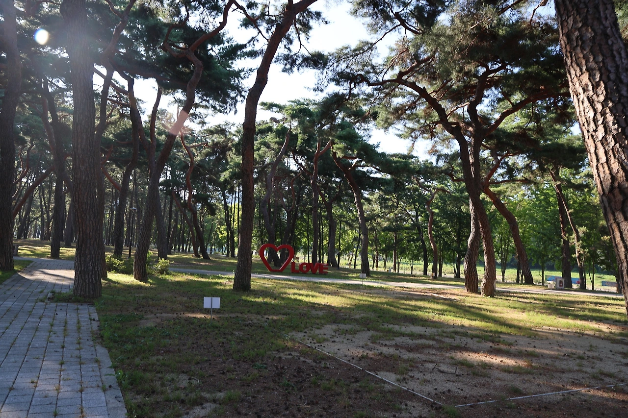 0R5A8103_новый размер.JPG