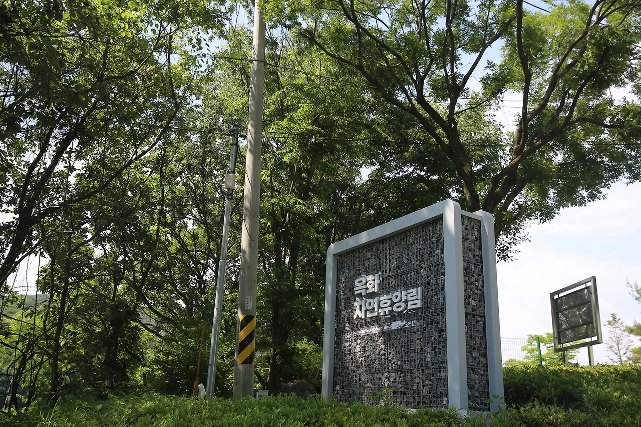 MG0A2184_новый размер.JPG