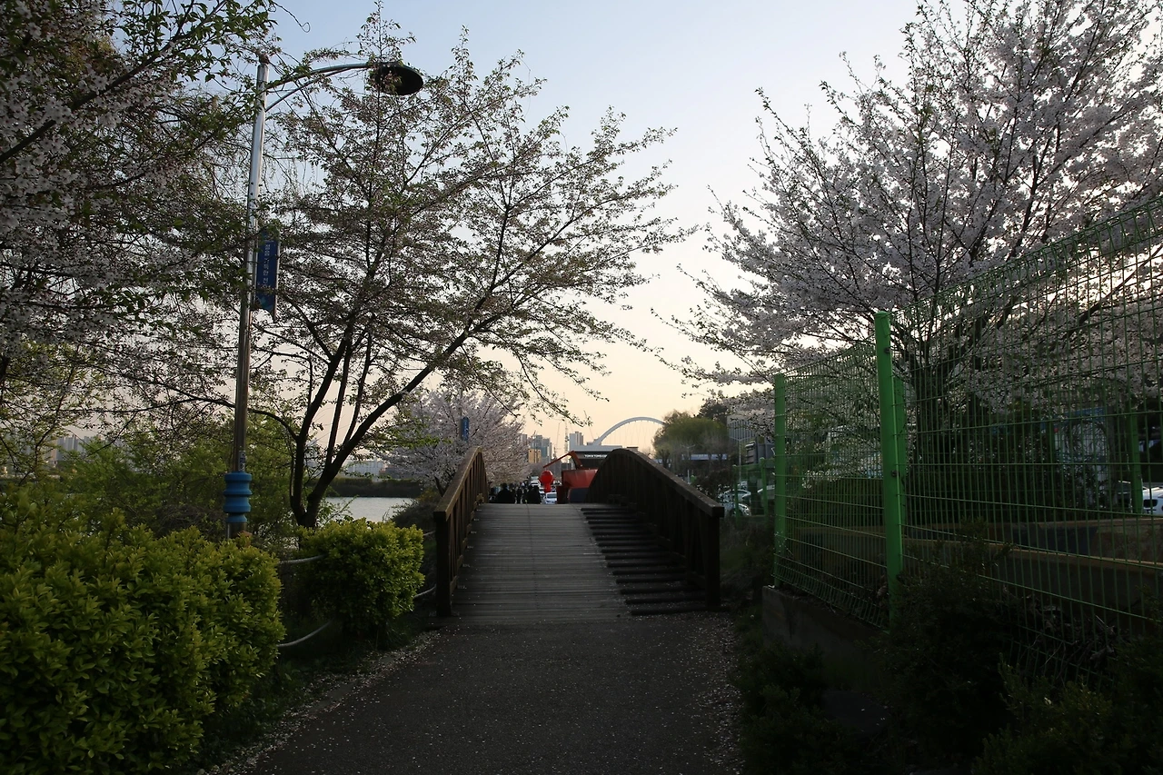 MG0A8907_новый размер.JPG