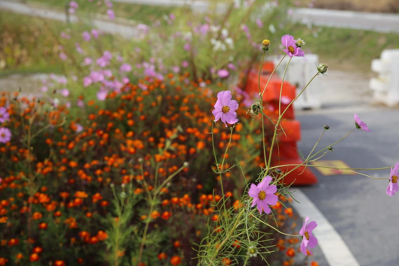 MG0A7353_новый размер.JPG