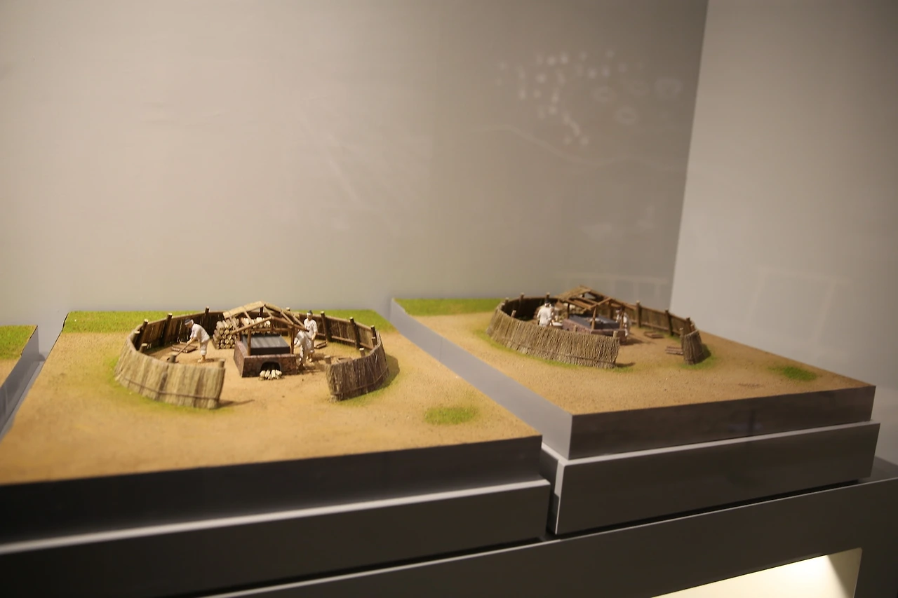 MG0A5588_новый размер.JPG