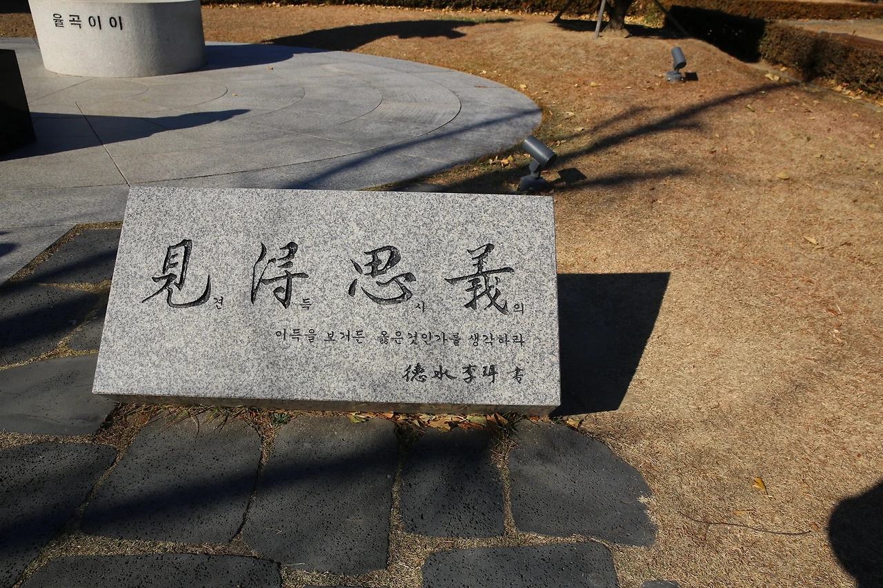 MG0A1954_новый размер.JPG