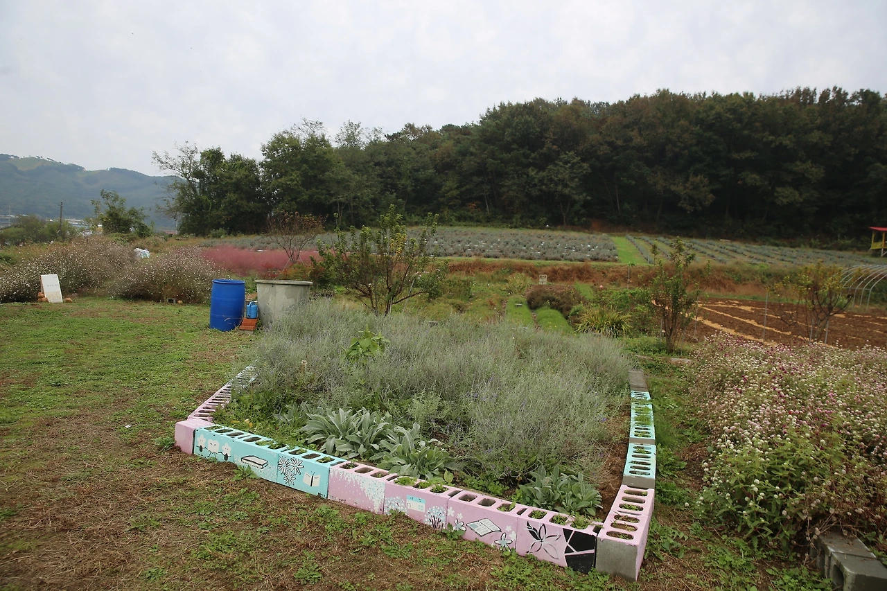 MG0A8779_новый размер.JPG