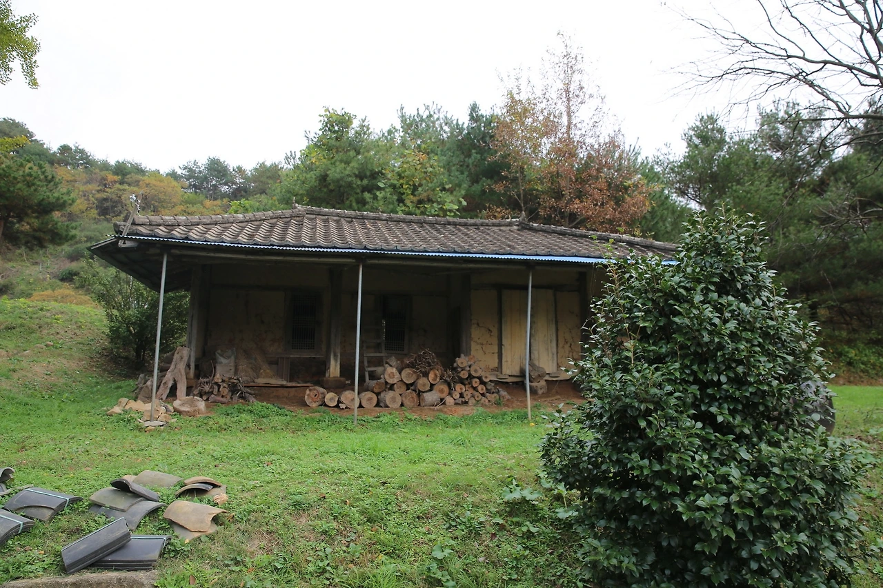 MG0A9740_новый размер.JPG