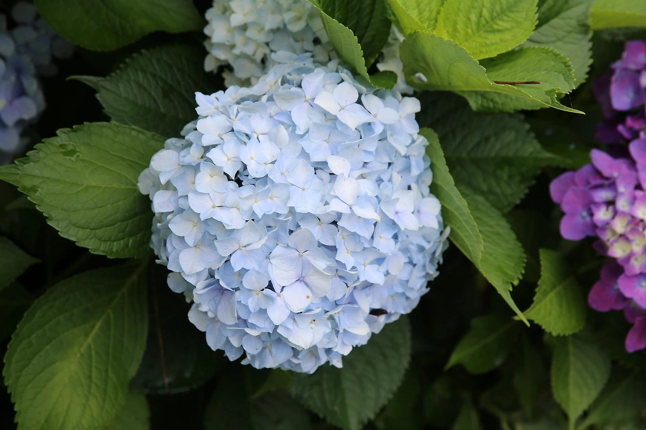 MG0A3643_новый размер.JPG