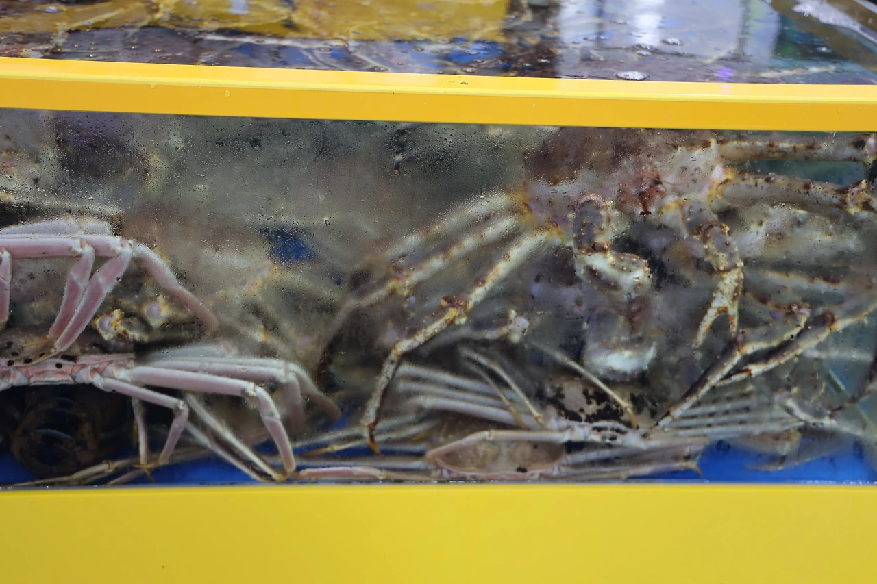 0R5A8427_новый размер.JPG