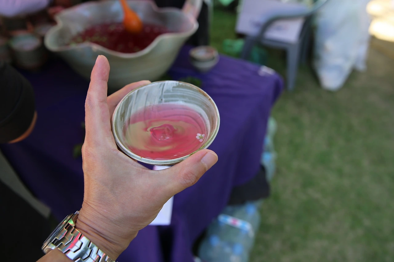 MG0A2815_новый размер.JPG