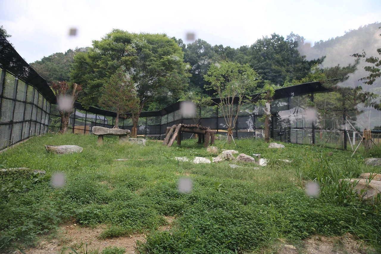 MG0A9623_новый размер.JPG