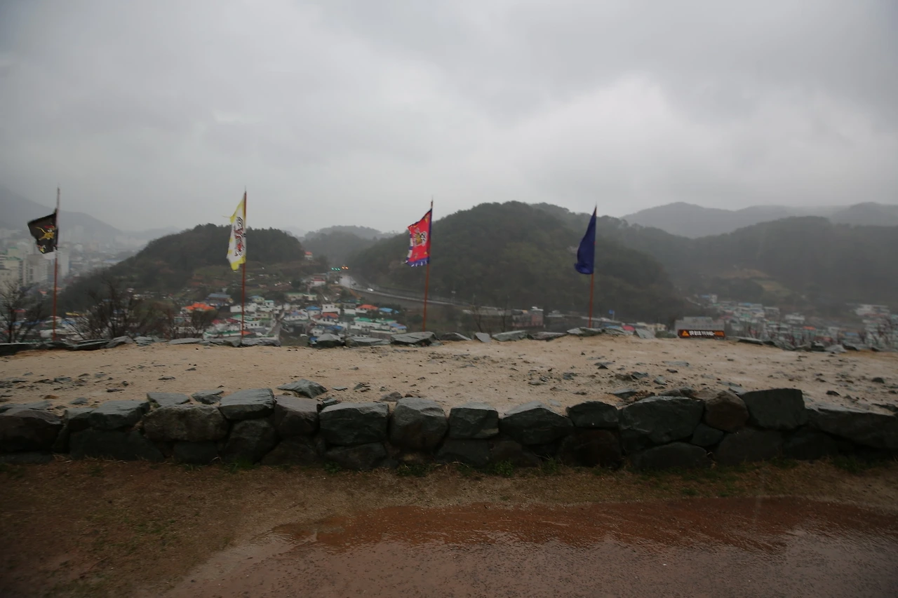 MG0A6509_новый размер.JPG