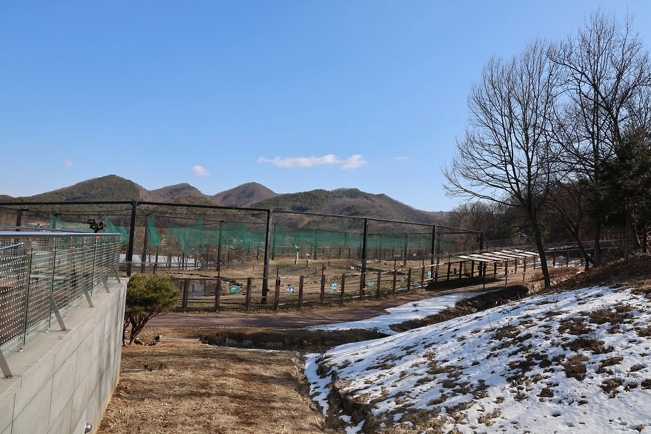 0R5A9717_новый размер.JPG