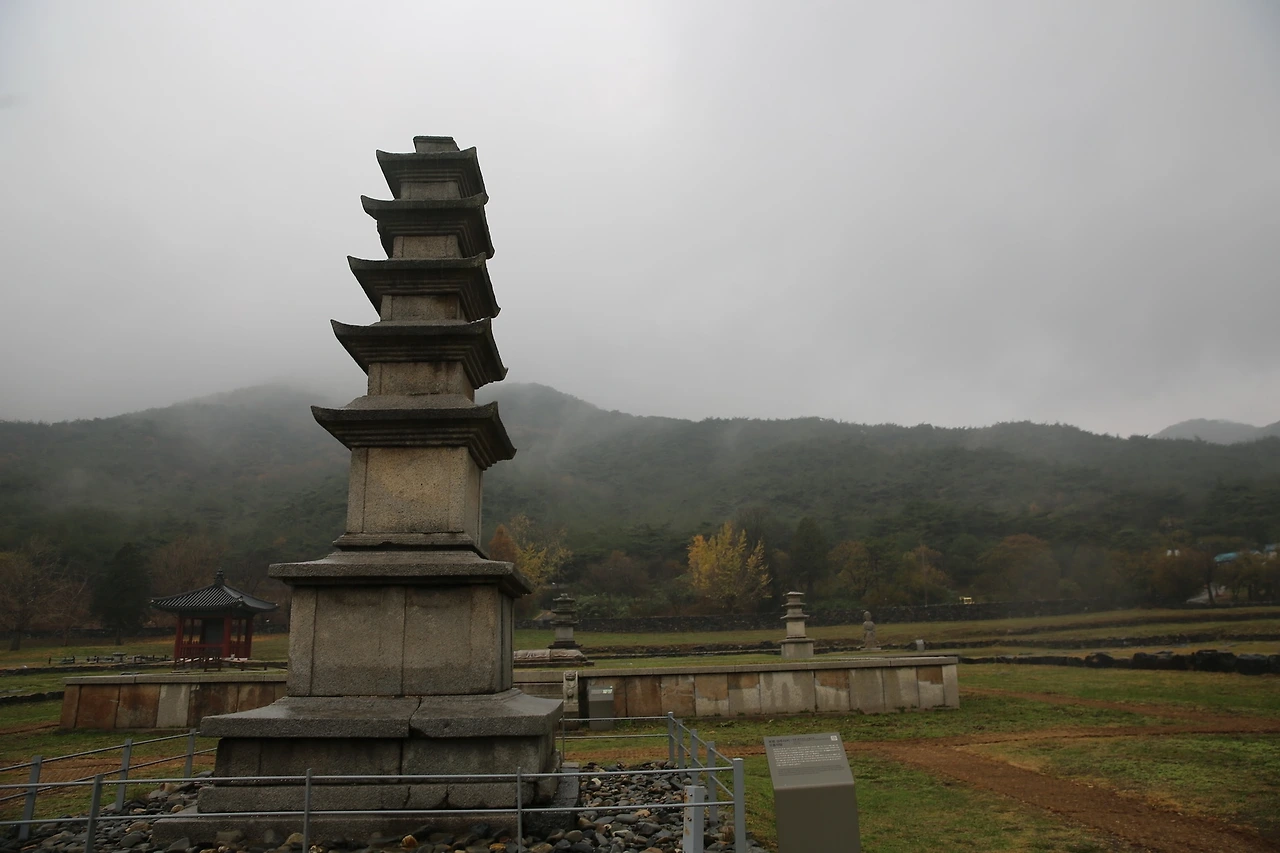 MG0A0907_новый размер.JPG