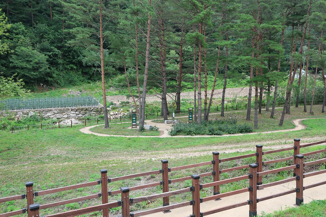 0R5A8668_новый размер.JPG